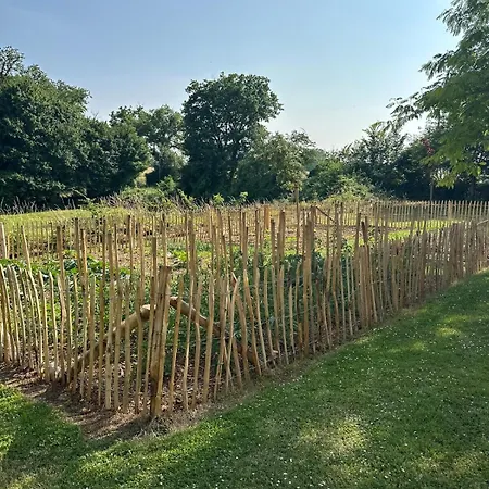 Amazing Villa 5-Br *